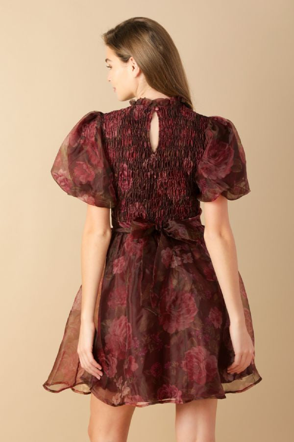 Fall Organza Mini Dress Cheekie Boutique Fall Organza Mini Dress Cheekie Boutique