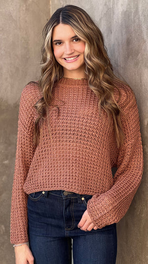 Sheer Crochet Knit Sweater