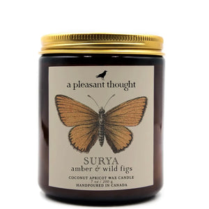 Surya Amber Wild Figs Jar Candle