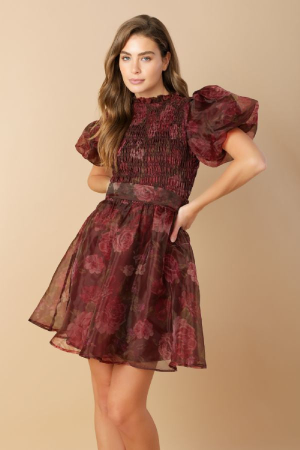 Fall Organza Mini Dress