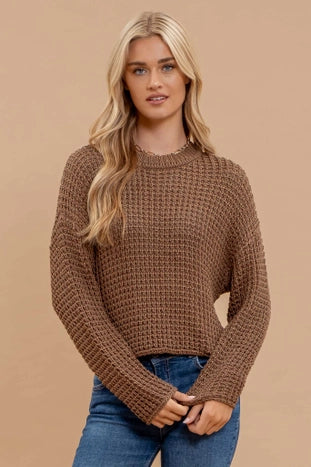 Sheer Crochet Knit Sweater