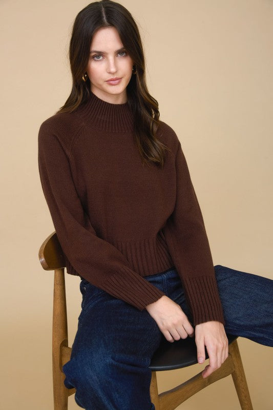 Brown Pullover Sweater
