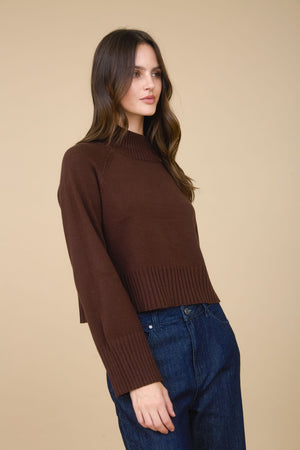 Brown Pullover Sweater